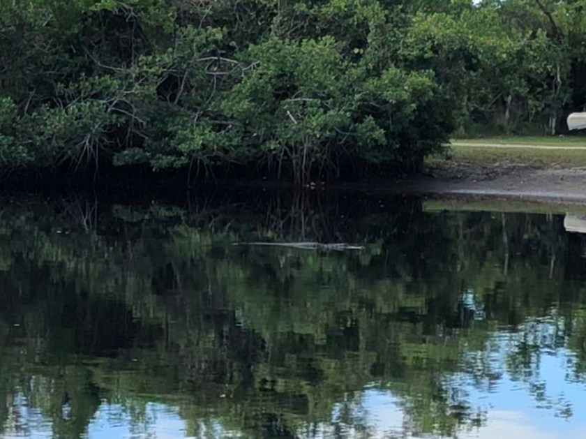 D604B9CF-64BA-4B7B-8BD3-DDC470F5622B