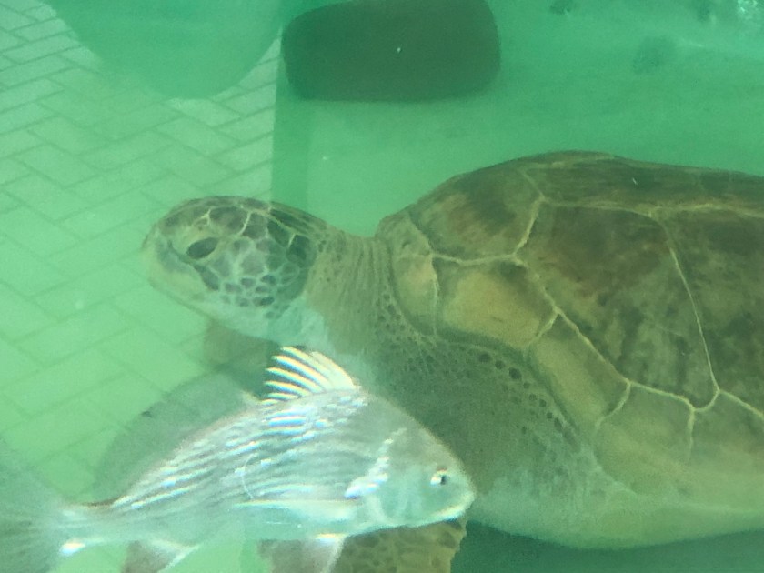 7A0501FE-E2D6-4AF4-95D7-8AC41FBE057D