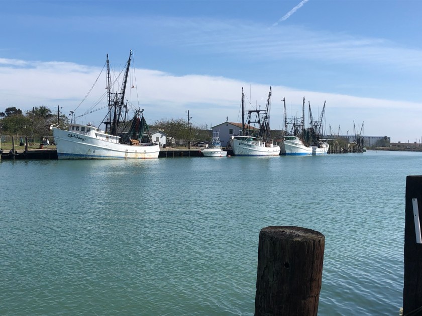 9C7D18B1-CD39-4F59-ADD2-60A9AFD6C39E