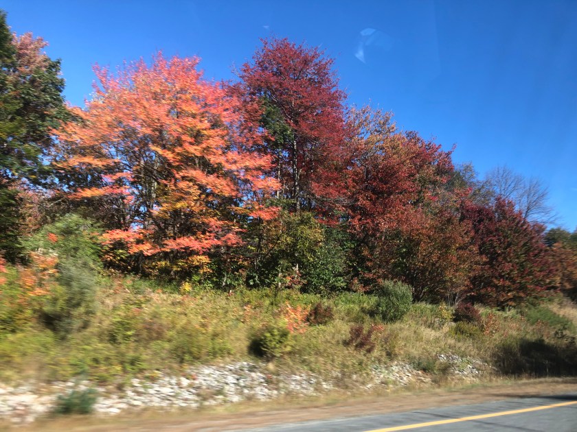 A28E20DF-49F5-4475-8F1E-CABBF9B9F261