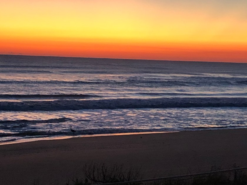 5A6B37F6-F96D-448B-87F3-37E8338041ED