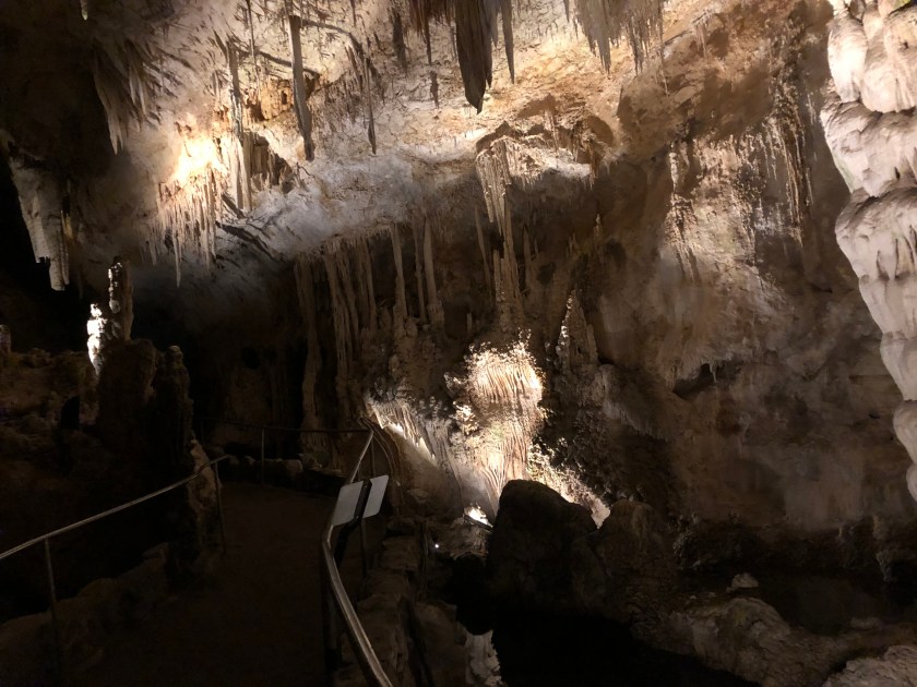 06201E5A-CFED-48DD-B674-9C26D2D234CC